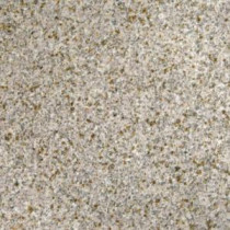 MS International 18 in. x 18 in. Gold Rush Granite Floor and Wall Tile