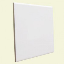 U.S. Ceramic Tile Color Collection Bright White Ice 6 in. x 6 in. Ceramic Surface Bullnose Wall Tile