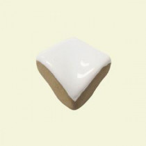 U.S. Ceramic Tile Color Collection Matte Snow White 3/4 in. x 3/4 in. Ceramic Quarter-Round Corner Wall Tile