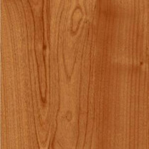 Shaw Native Collection Gunstock Oak Laminate Flooring - 5 in. x 7 in. Take Home Sample