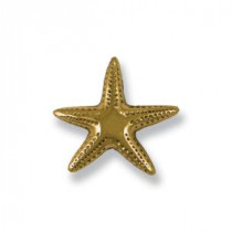 Michael Healy Solid Brass Starfish Lighted Doorbell Ringer