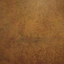 TrafficMASTER Allure Red River Resilient Vinyl Plank Flooring - 4 in. x 4 in. Take Home Sample