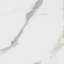 MS International Calacatta Gold 12 in. x 12 in. Polished Marble Floor and Wall Tile (10 sq. ft. /case)