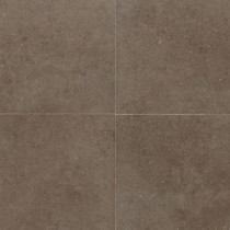 Daltile City View Neighborhood Park 24 in. x 24 in. Porcelain Floor and Wall Tile (11.62 sq. ft. / case)