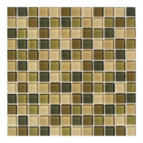 Daltile Maracas Rainforest Blend 12 in. x 12 in. 8mm Glass Mesh Mounted Mosaic Wall Tile (10 sq. ft. / case)