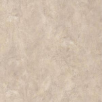 Armstrong Sentinel Galaxy Beige Vinyl Plank Flooring - 6 in. x 9 in. Take Home Sample