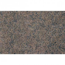 MS International Tropic Brown 18 in. x 31 in. Polished Granite Floor and Wall Tile (7.75 sq. ft. / case)