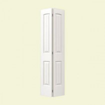 JELD-WEN Smooth 2-Panel Arch Top V-Groove Painted Molded Interior Bifold Closet Door