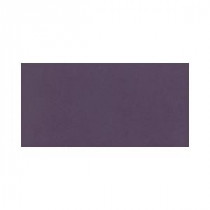 Daltile Colour Scheme Grapple Solid 6 in. x 12 in. Porcelain Cove Base Floor and Wall Tile