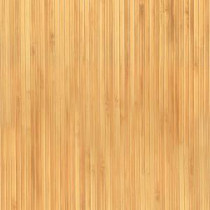 TrafficMASTER Allure Strand Bamboo Resilient Vinyl Plank Flooring - 4 in. x 4 in. Take Home Sample