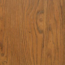 Innovations Antebellum Oak Laminate Flooring - 5 in. x 7 in. Take Home Sample
