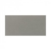 Daltile Plaza Nova Gray Fog 12 in. x 24 in. Porcelain Floor and Wall Tile (9.68 sq. ft. / case)