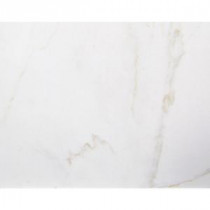 U.S. Ceramic Tile 16 in. x 16 in. Carrara Blanco Porcelain Floor and Wall Tile 14.22 sq. ft. per case